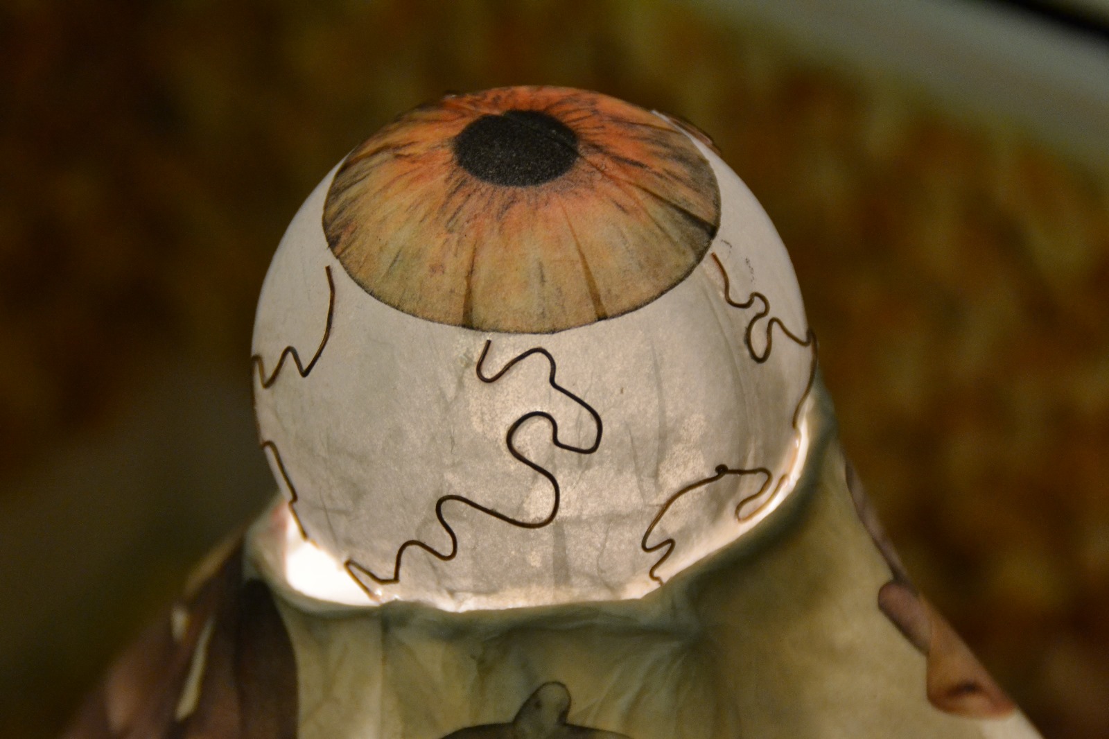 Close-up of an eye sculpture inside the chest.