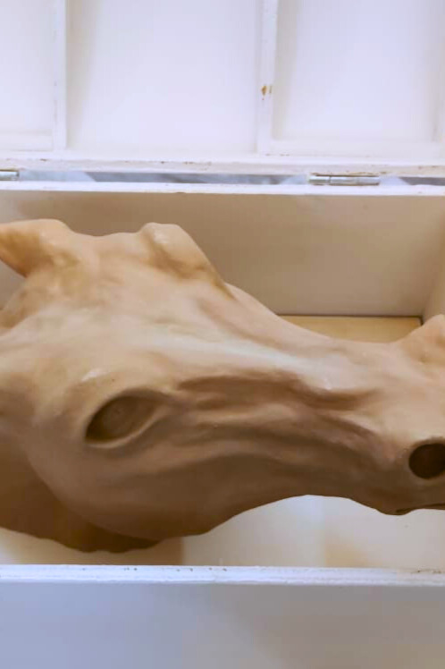 Dettaglio dall'alto della scultura del cavallo