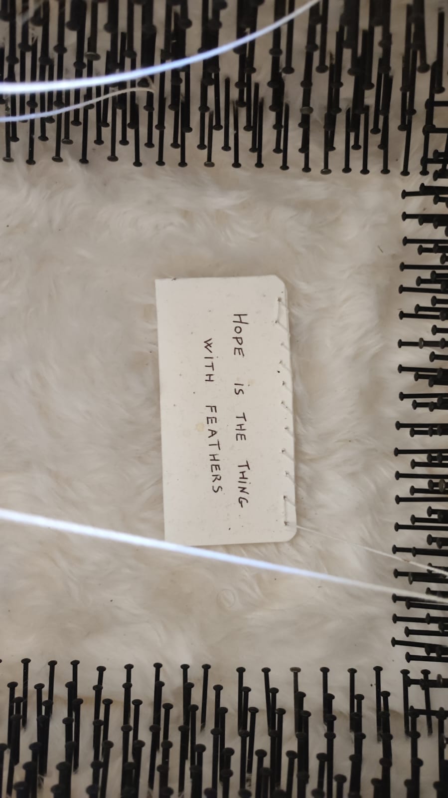 Detail of the bottom of the chest, where there is a handwritten note reading Hope is the thing with feathers –