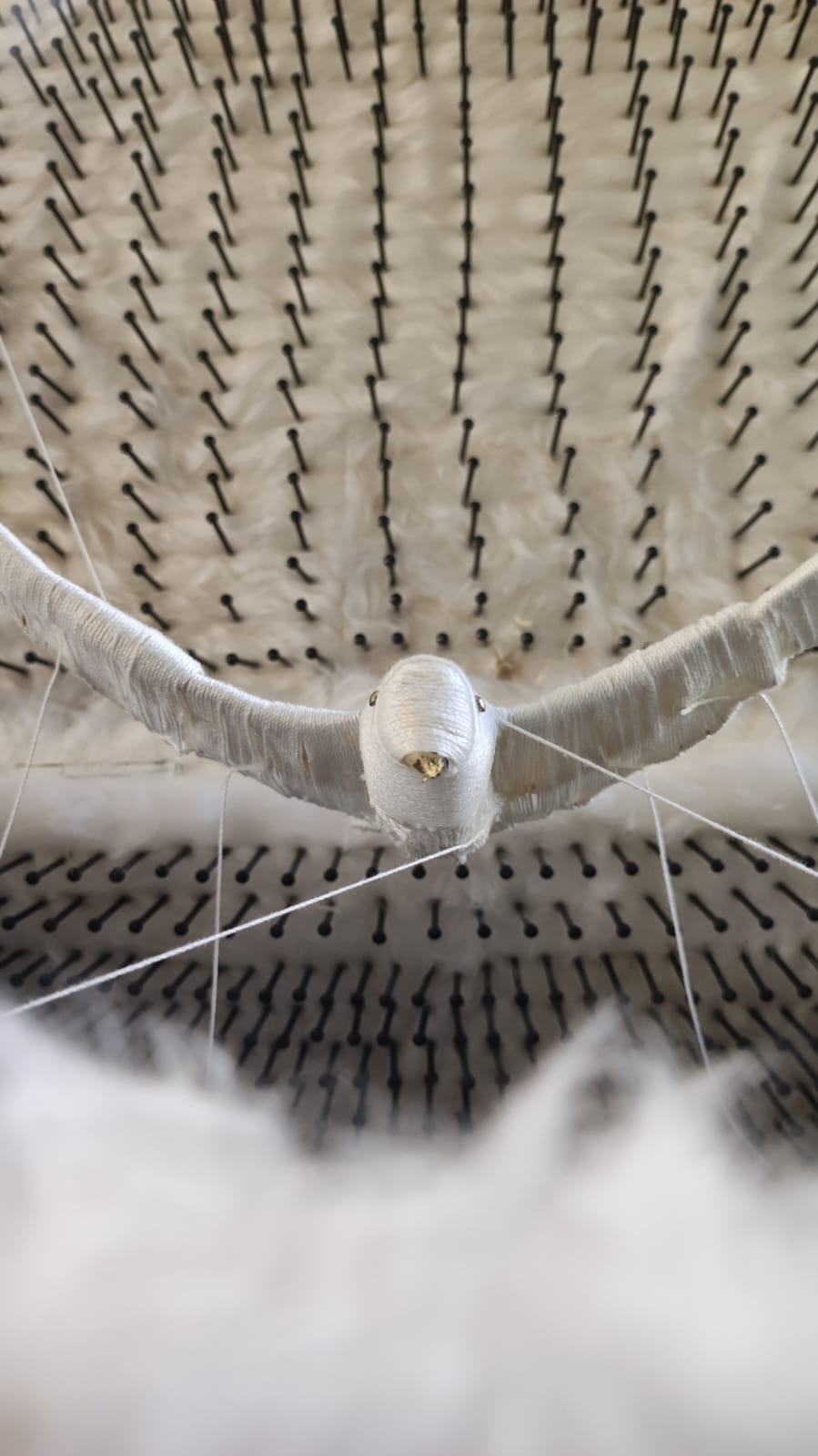 Altra inquadratura del complesso all'interno dello scrigno, formato da piume, chiodi e fili bianchi