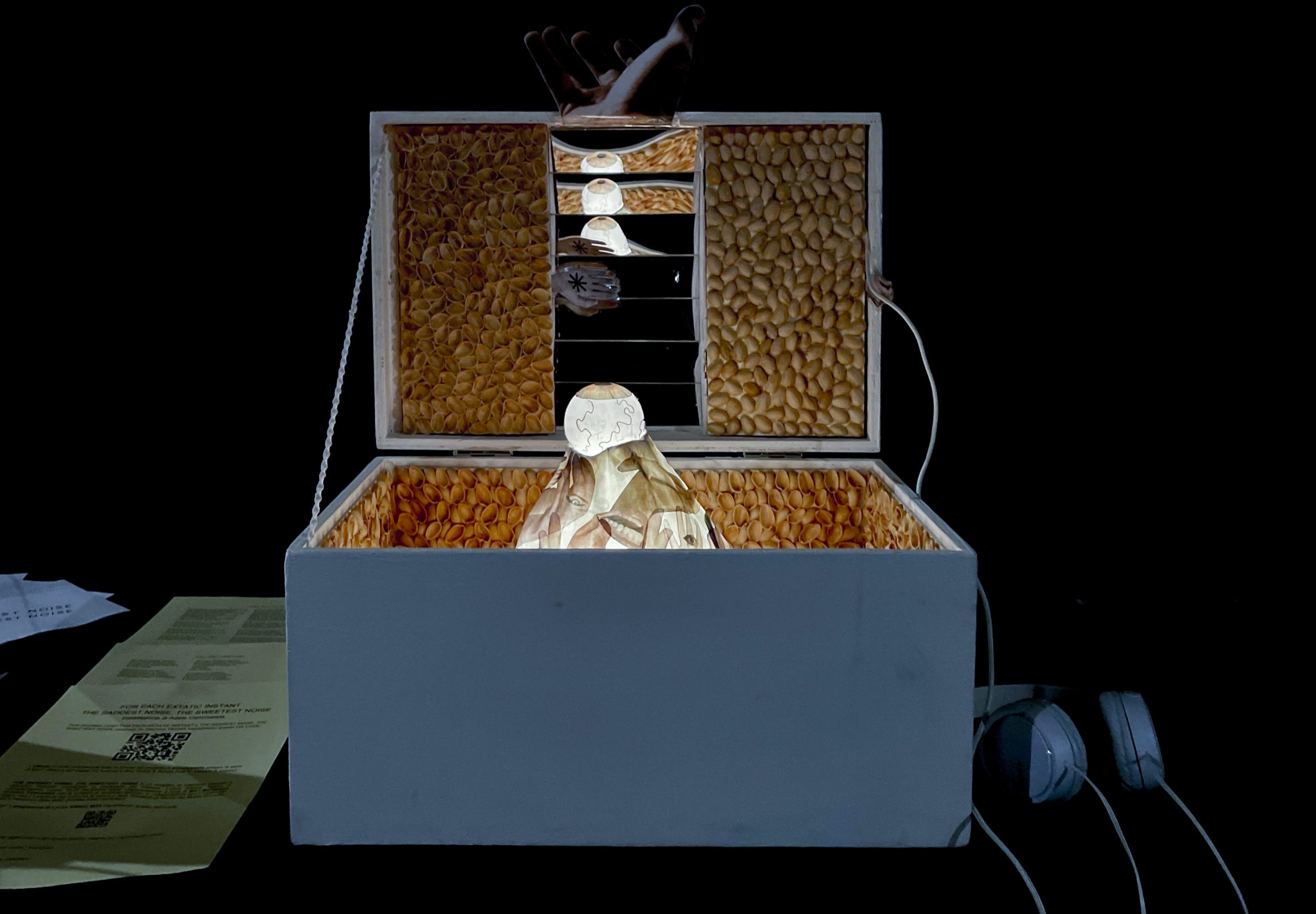 Full image of the chest, containing pistachio shells, mirrors, and a papier-mâché sculpture inside.